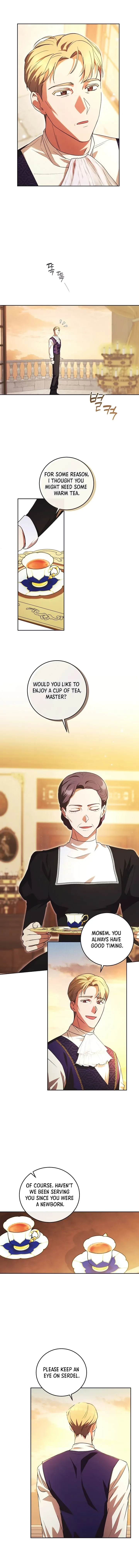The Young Lady Who Broke Her Engagement Is Only Obsessed With the Ending Chapter 19 page 11
