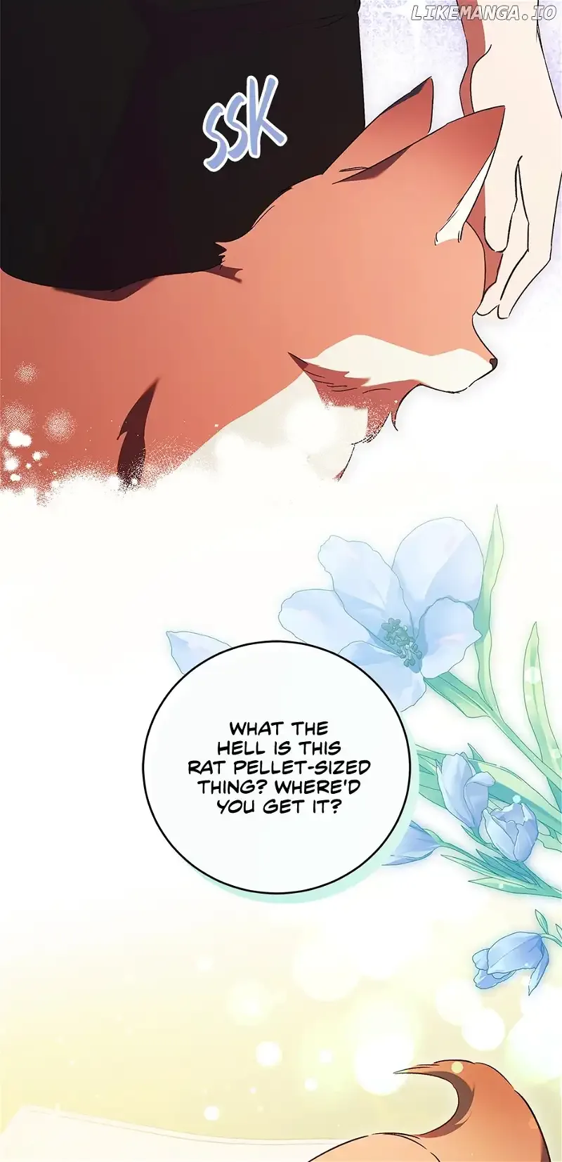The Young Lady Who Broke Her Engagement Is Only Obsessed With the Ending Chapter 34 page 38
