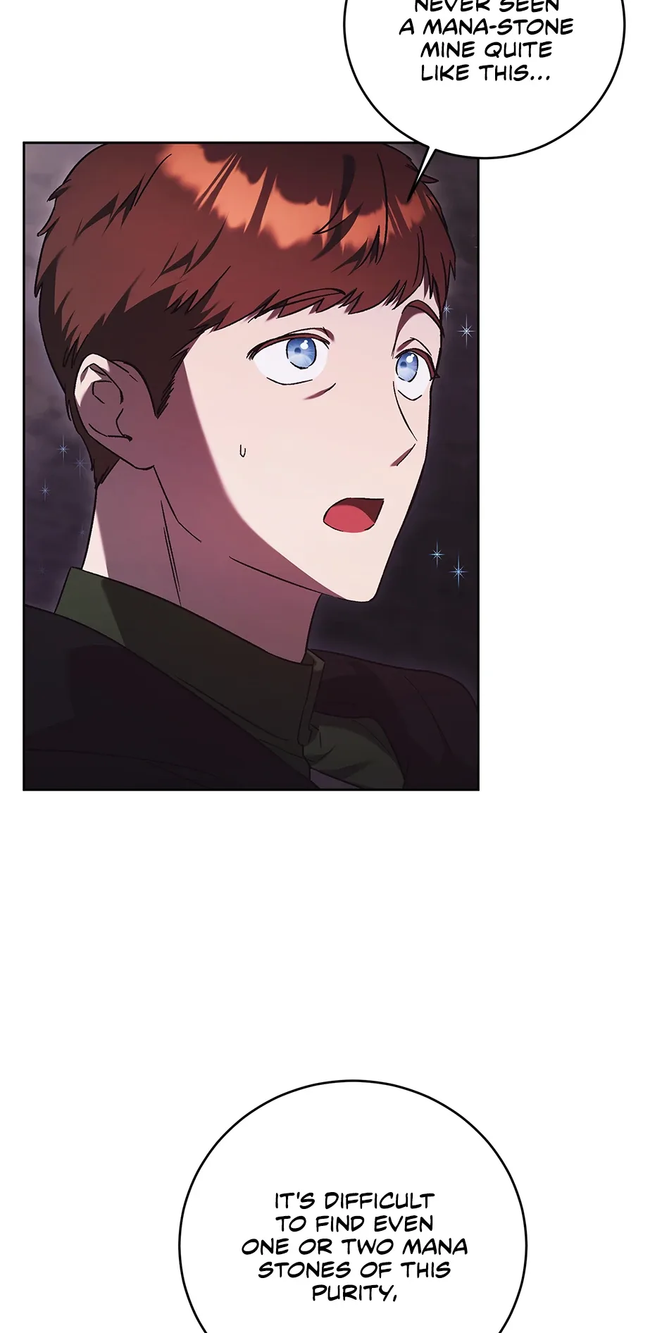 The Young Lady Who Broke Her Engagement Is Only Obsessed With the Ending Chapter 50 page 5
