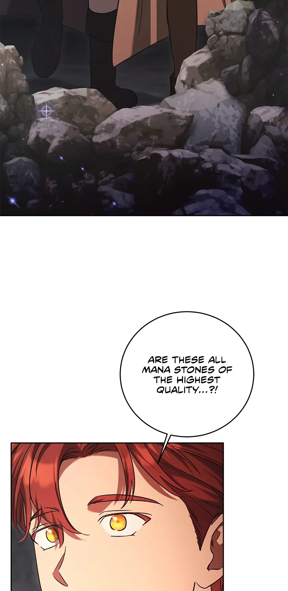 The Young Lady Who Broke Her Engagement Is Only Obsessed With the Ending Chapter 47 page 104