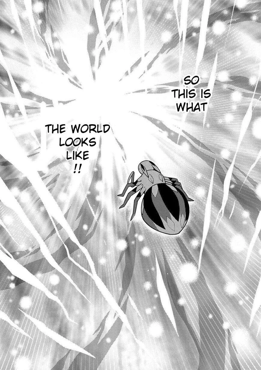 Kumo Desu Ga, Nani Ka? Chapter 19.2 page 3