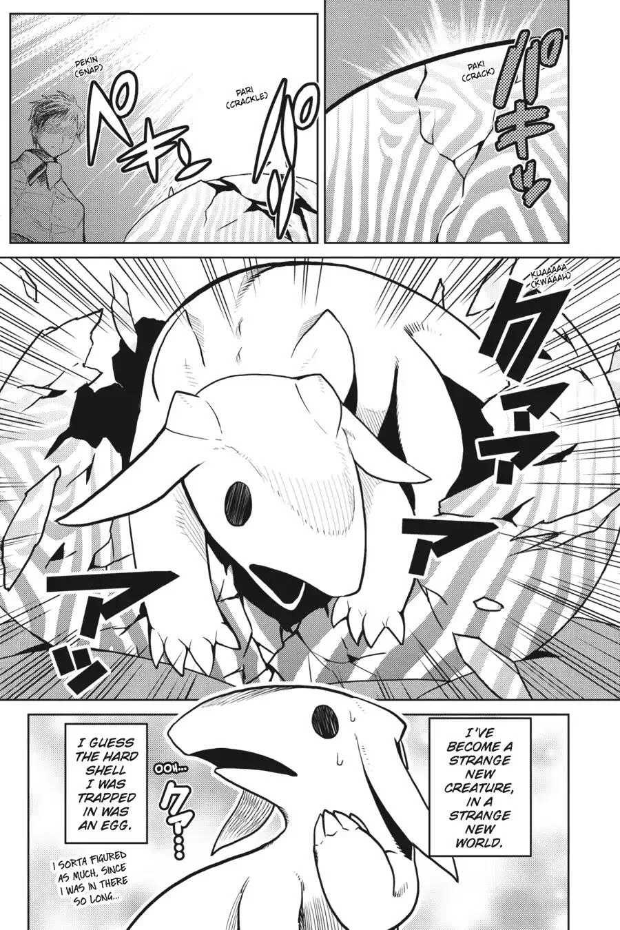 Kumo Desu Ga, Nani Ka? Chapter 19.3 page 8