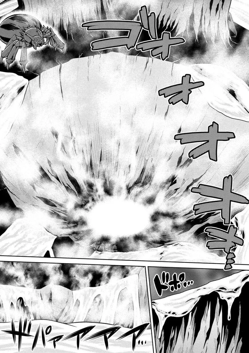Kumo Desu Ga, Nani Ka? Chapter 24.1 page 10