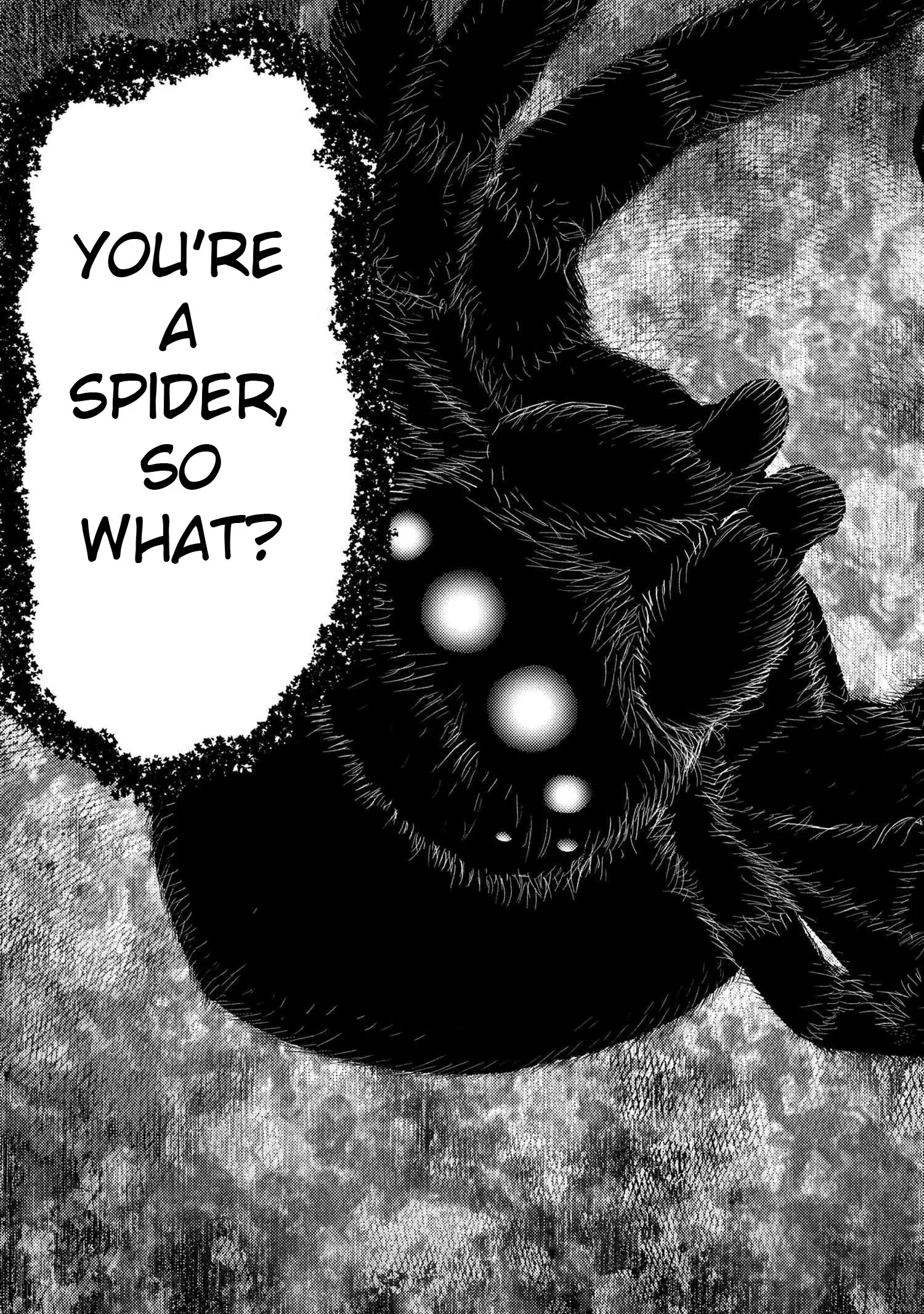 Kumo Desu Ga, Nani Ka? Chapter 75.2 page 13