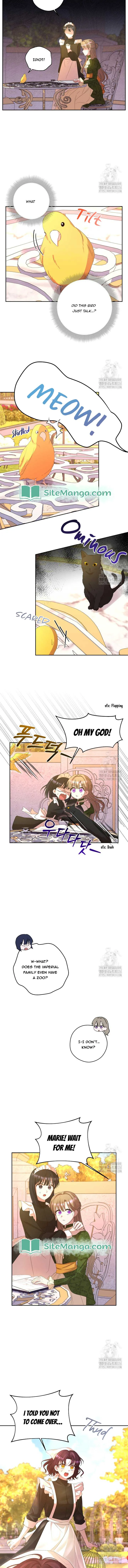 The Maid With A Dictator On A Leash Chapter 44 page 3