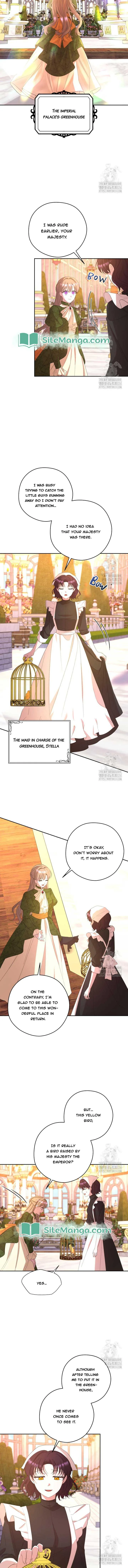 The Maid With A Dictator On A Leash Chapter 44 page 5