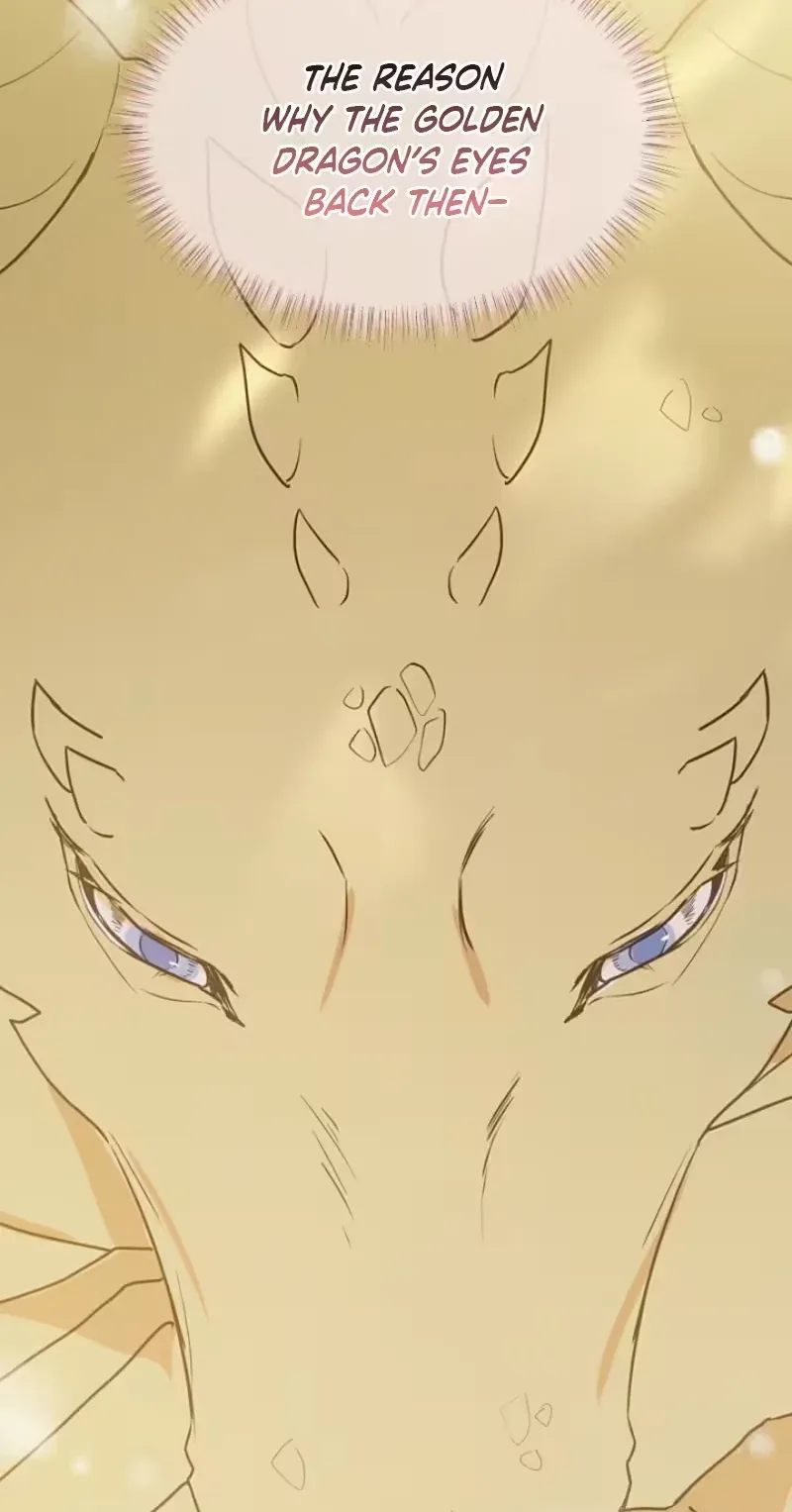 A Golden Fate That Transcends Time Chapter 113 page 11