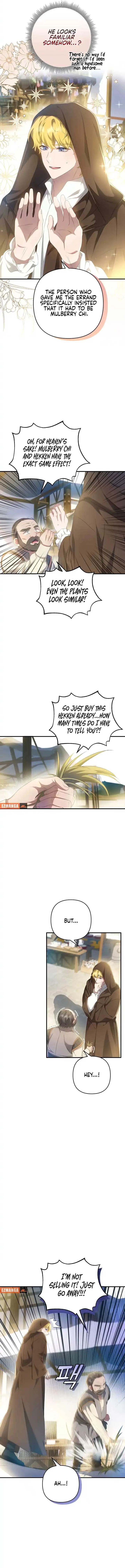 The Extra Guardian Missed the Right Time to Leave Chapter 16 page 4