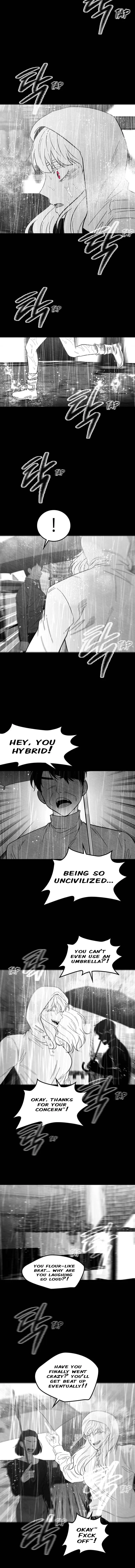 Midwood Chapter 91 page 17