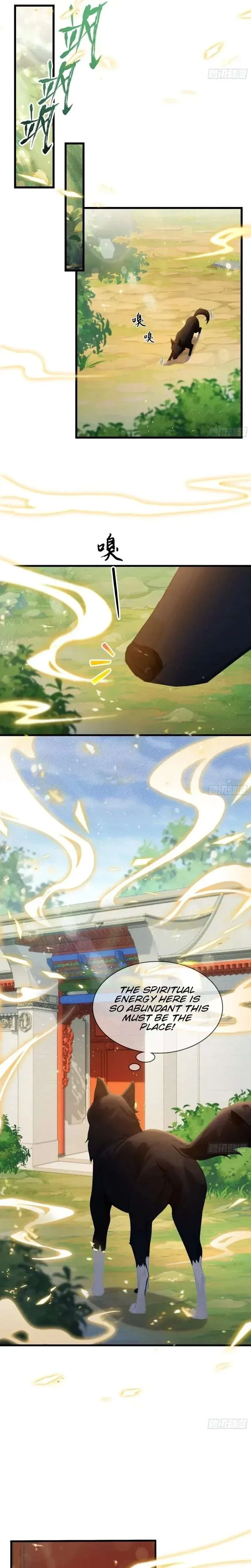 I’ve Been Invincible for a Long Time Chapter 179 page 4