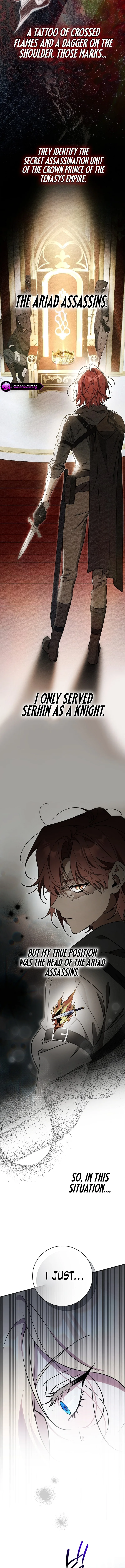 The Villain Family’s Strongest Butler Chapter 11 page 11