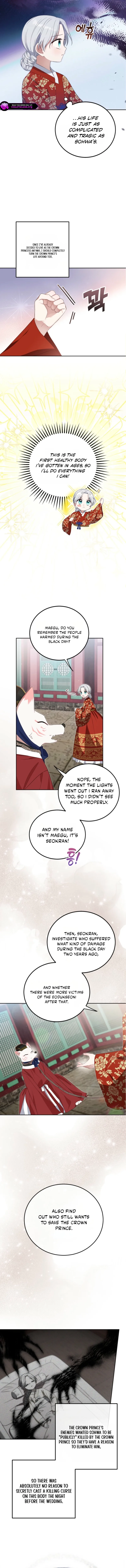 I Became the Terminally Ill Princess With No Tomorrow Chapter 11 page 3