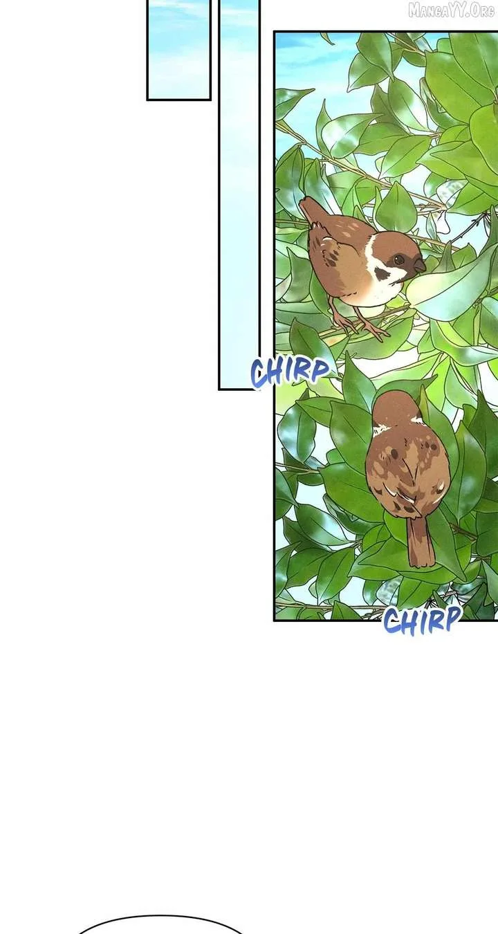 Don’t Be Carelessly Friendly Chapter 66 page 33