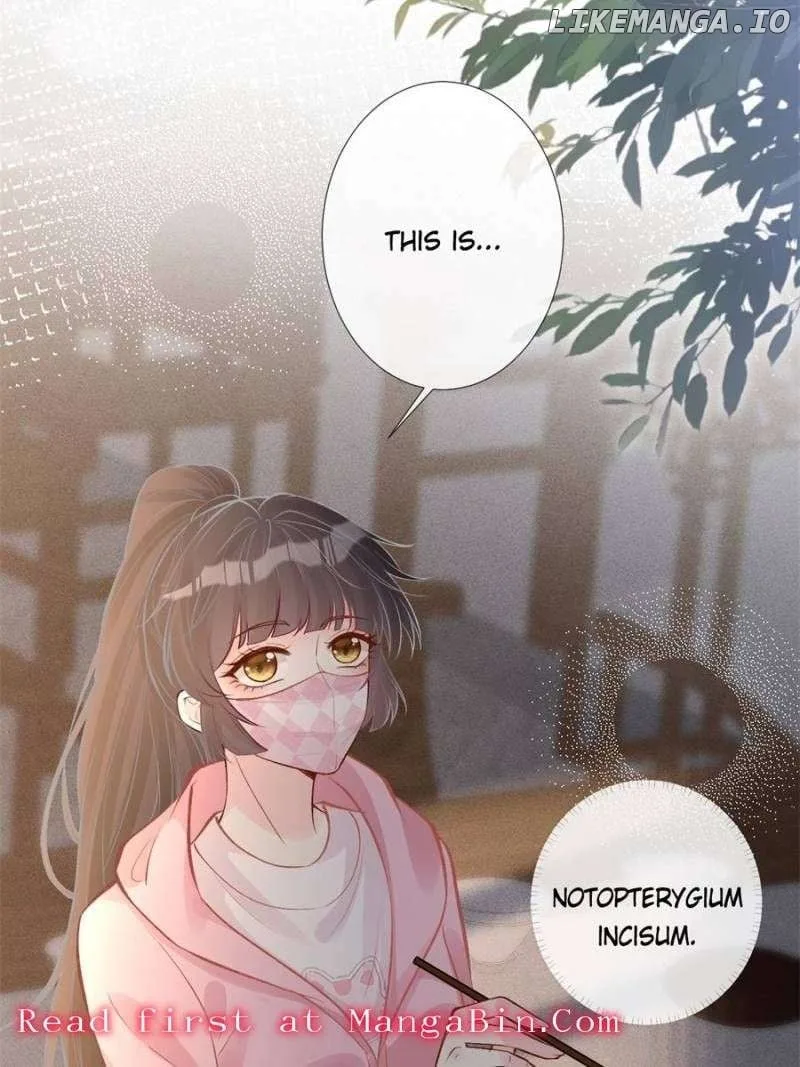 Everyone’s Darling Chapter 119 page 19