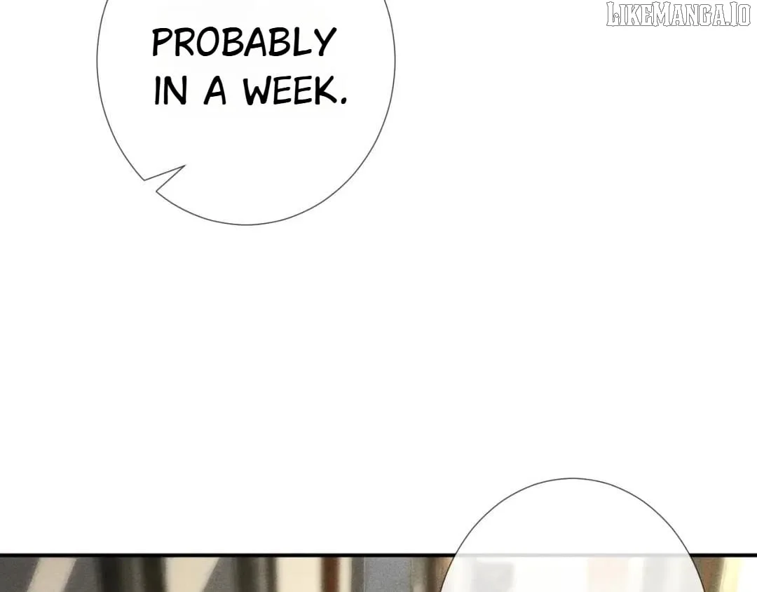 Everyone’s Darling Chapter 212 page 19