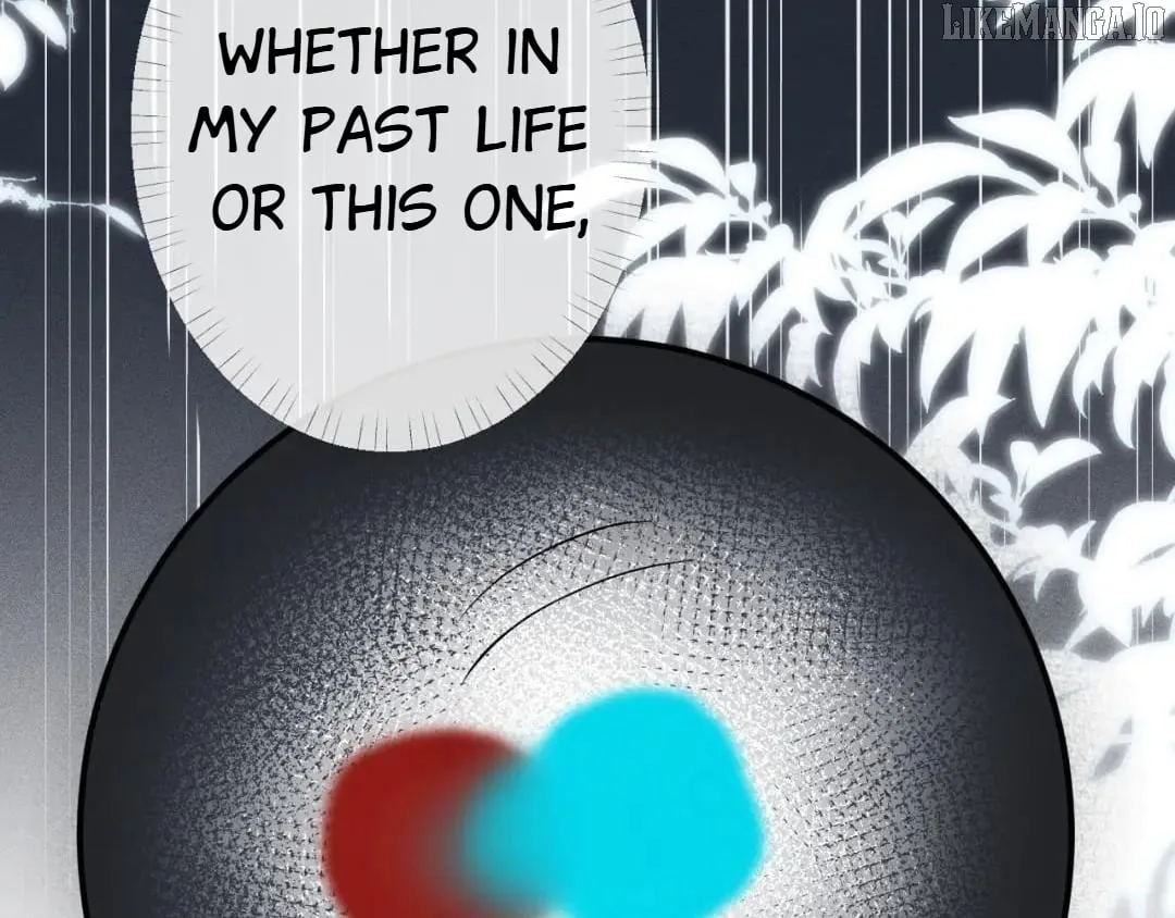 Everyone’s Darling Chapter 218 page 41