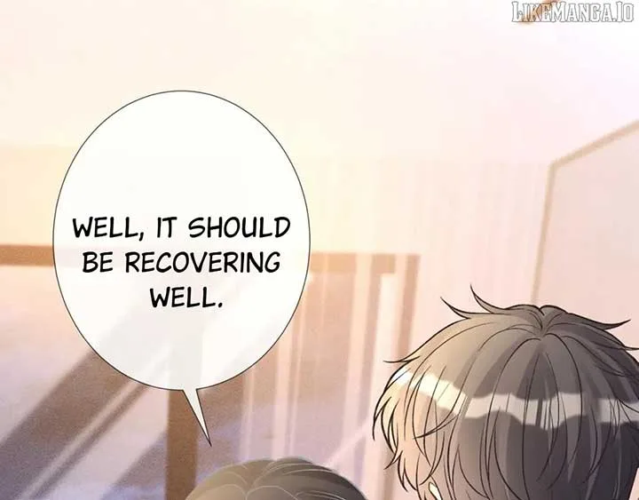 Everyone’s Darling Chapter 242 page 44