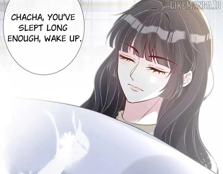 Everyone’s Darling Chapter 247 page 40