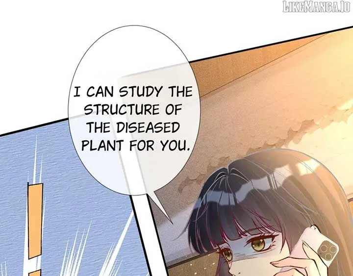 Everyone’s Darling Chapter 249 page 42