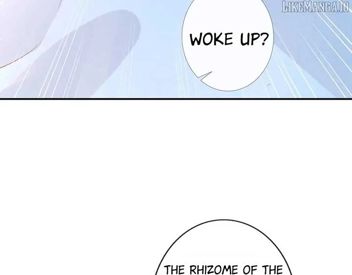 Everyone’s Darling Chapter 250 page 34