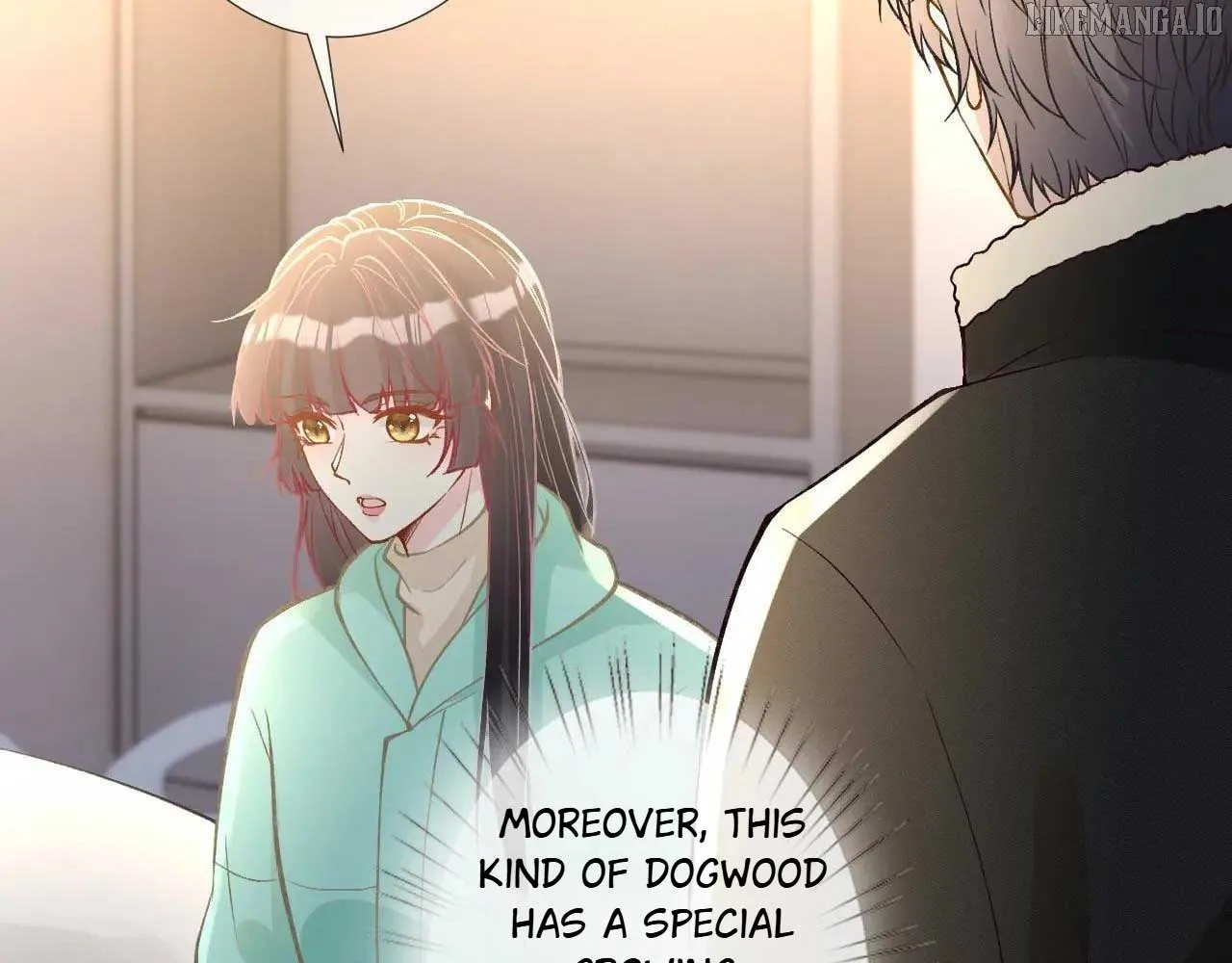 Everyone’s Darling Chapter 259 page 28