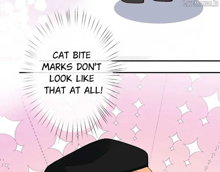 Everyone’s Darling Chapter 261 page 55