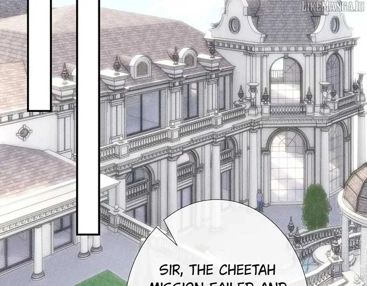 Everyone’s Darling Chapter 273 page 3