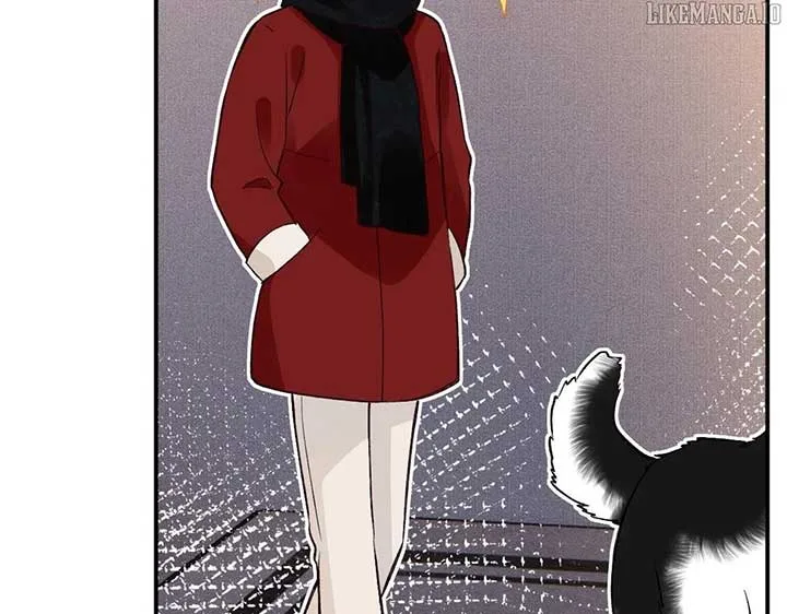 Everyone’s Darling Chapter 282 page 51