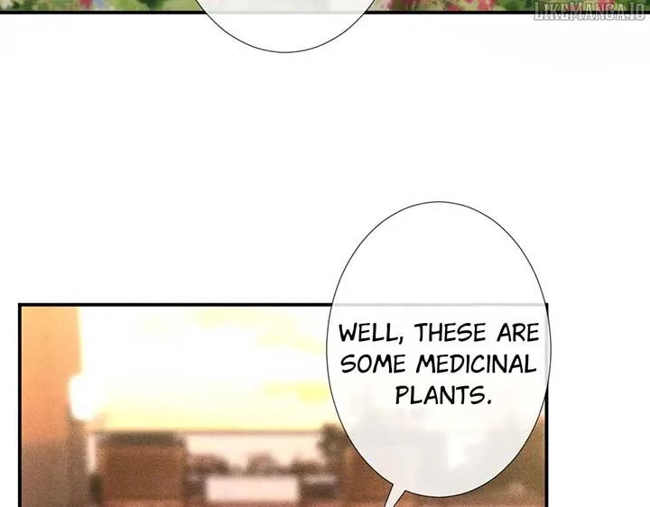 Everyone’s Darling Chapter 311 page 48