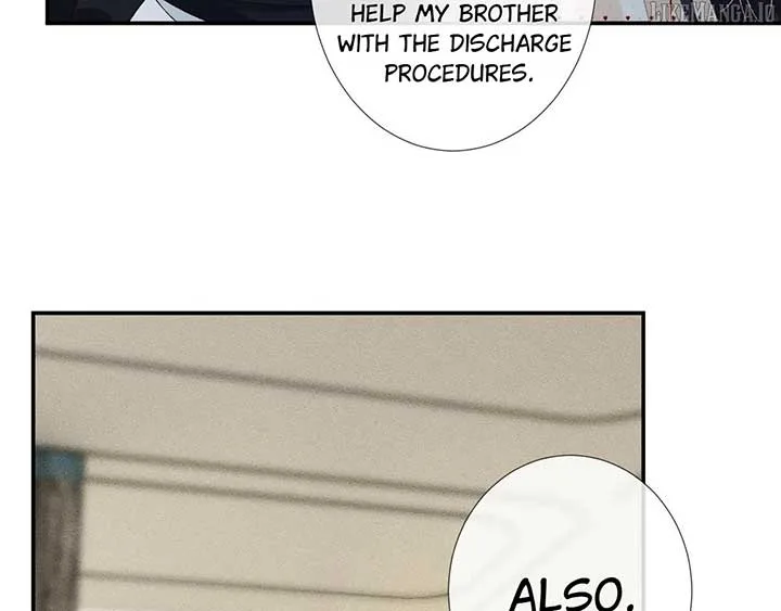 Everyone’s Darling Chapter 336 page 37