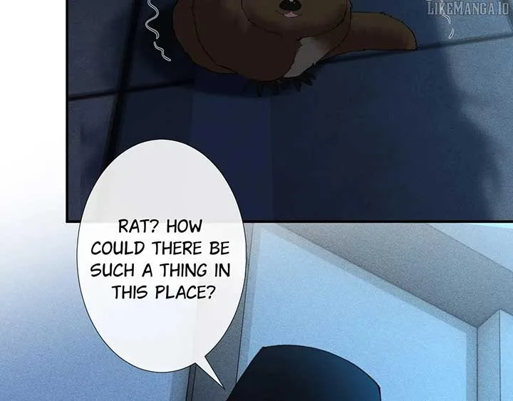 Everyone’s Darling Chapter 346 page 25