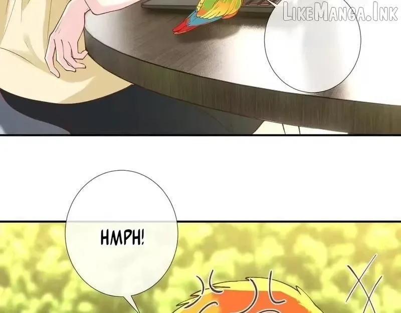 Everyone’s Darling Chapter 416 page 61