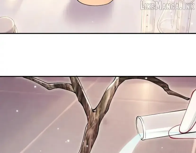 Everyone’s Darling Chapter 426 page 81
