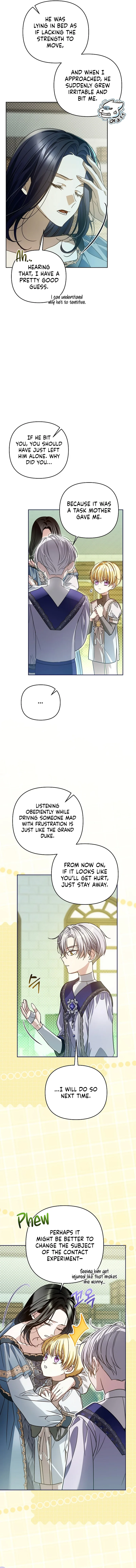 Travesti: I Became the Fake Prince Chapter 33 page 11
