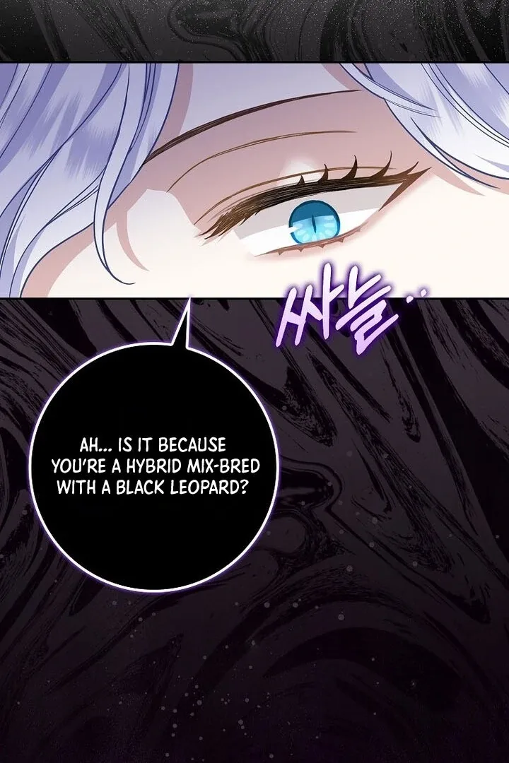 Baby Snow Leopard of the Black Leopard Family Chapter 1 page 64