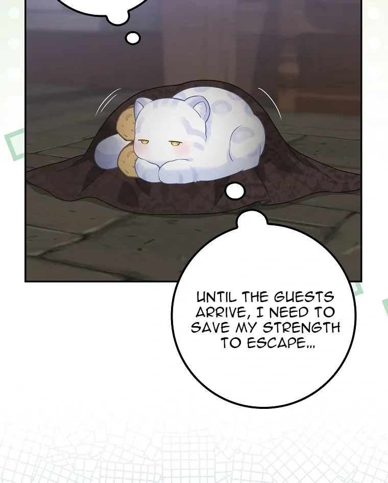 Baby Snow Leopard of the Black Leopard Family Chapter 2 page 28