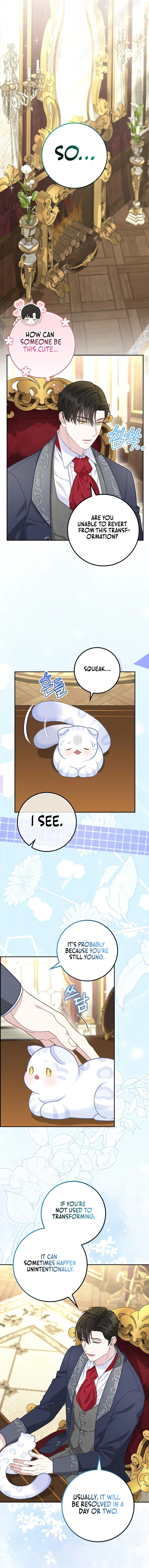 Baby Snow Leopard of the Black Leopard Family Chapter 21 page 11