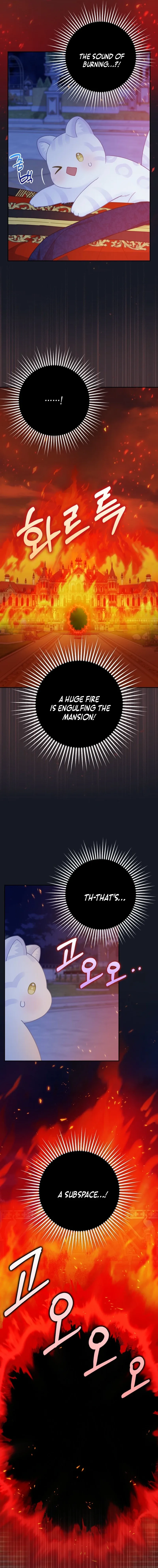Baby Snow Leopard of the Black Leopard Family Chapter 41 page 5