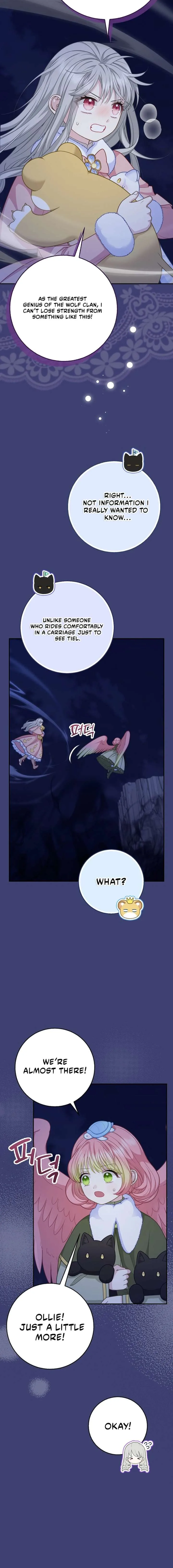 Baby Snow Leopard of the Black Leopard Family Chapter 61 page 8