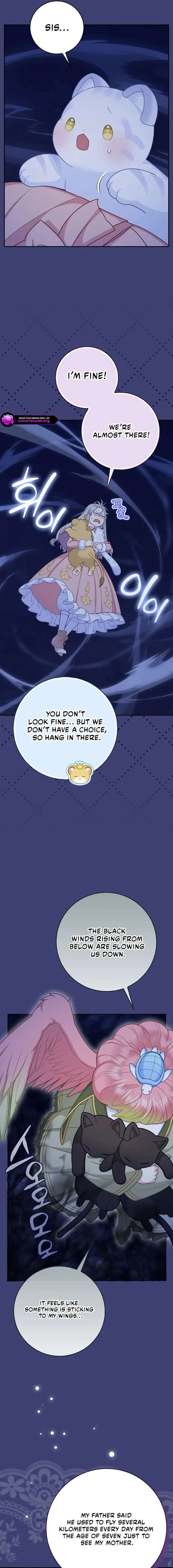 Baby Snow Leopard of the Black Leopard Family Chapter 61 page 7