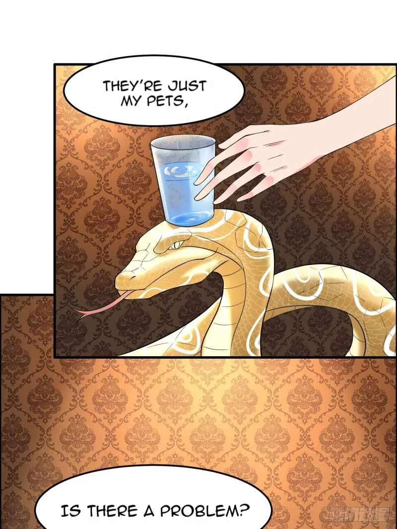 Villainous Demon Son-In-Law Chapter 1 page 11