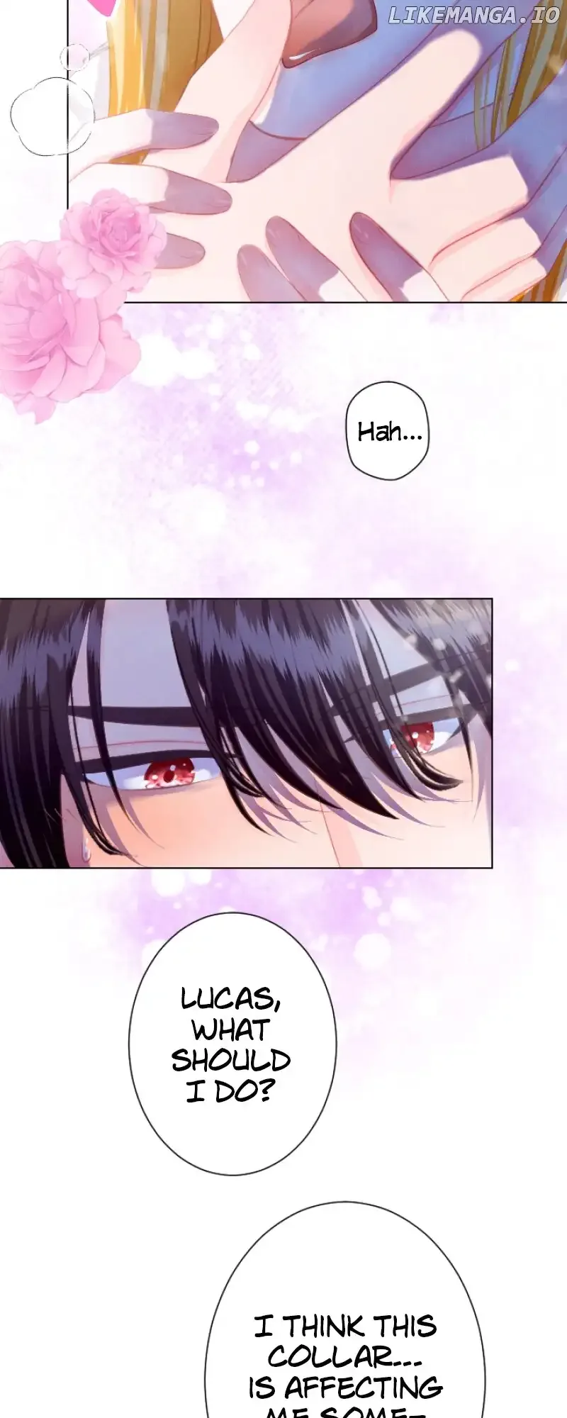 A Secret Contract and the Stallion Sage Chapter 58 page 52