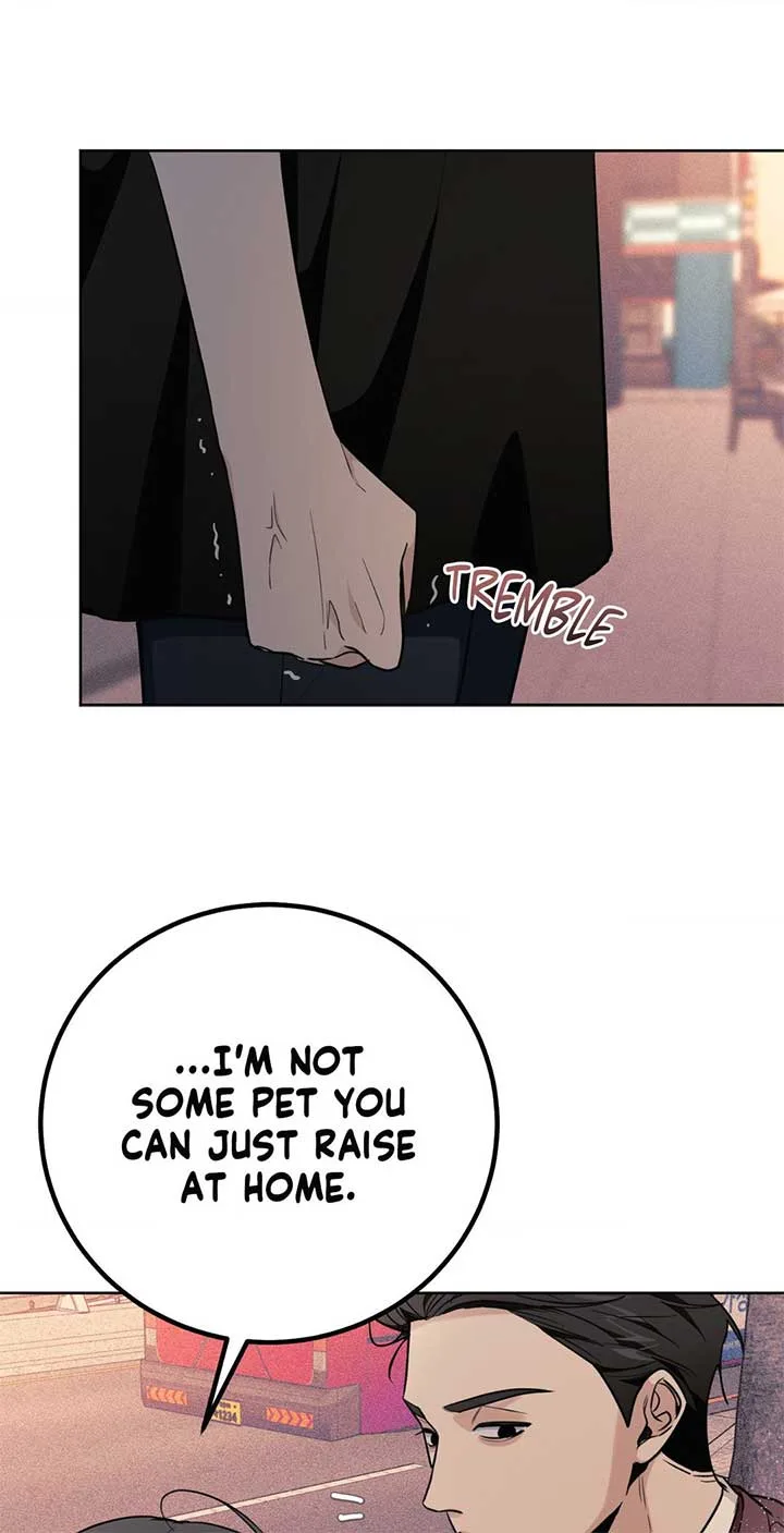 11336 Chapter 38 page 27