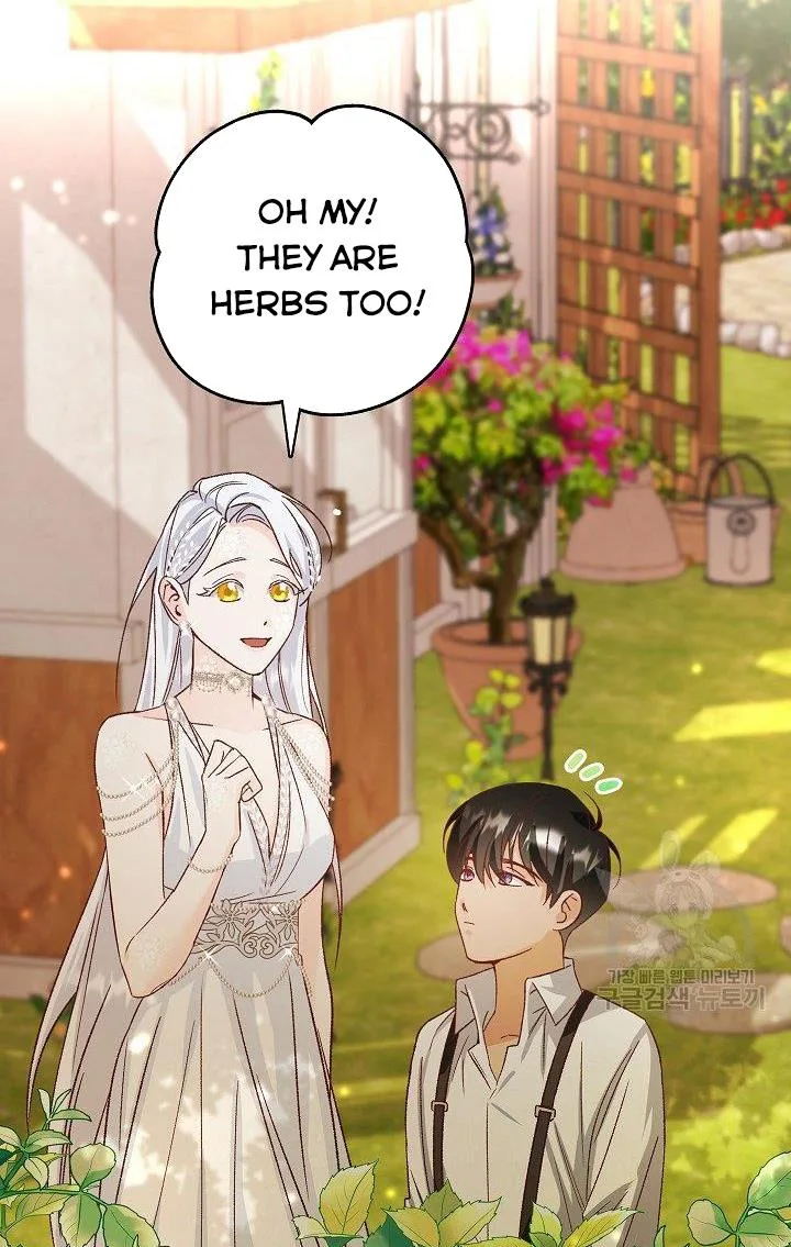 Admiral’s Monster Wife Chapter 8 page 17