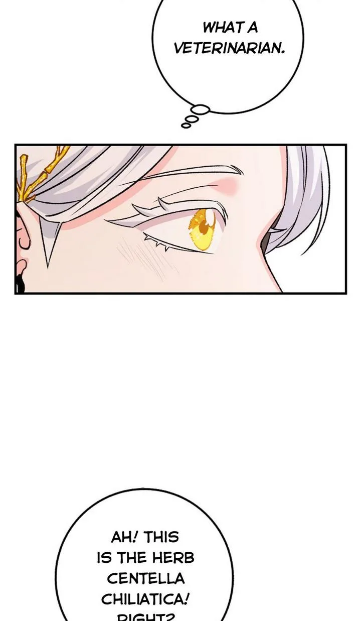 Admiral’s Monster Wife Chapter 10 page 60