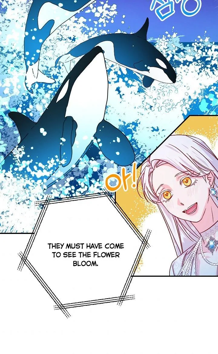 Admiral’s Monster Wife Chapter 23 page 53