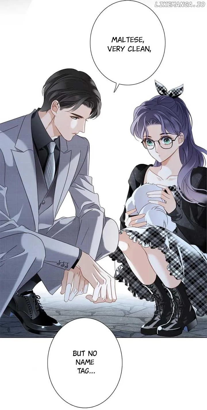 1st kiss – I don’t want to consider you as sister anymore Chapter 79 page 12
