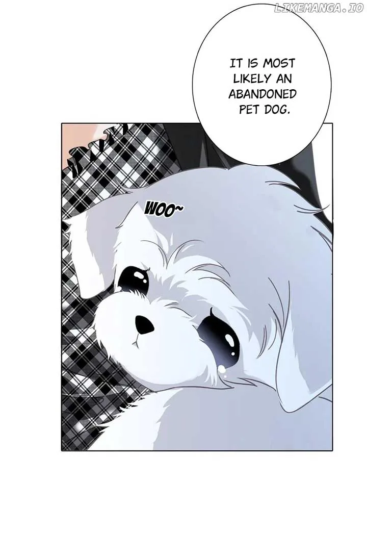 1st kiss – I don’t want to consider you as sister anymore Chapter 79 page 13
