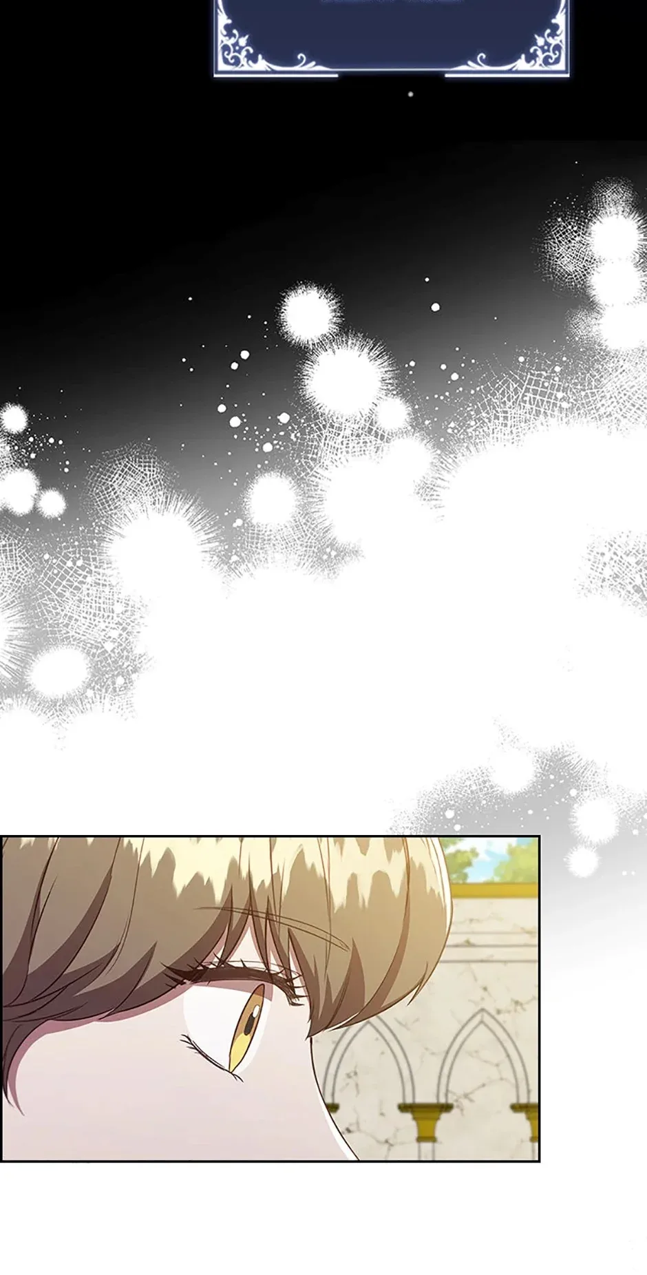 An Extra In The Family Is The First To Be Abandoned Chapter 94 page 11