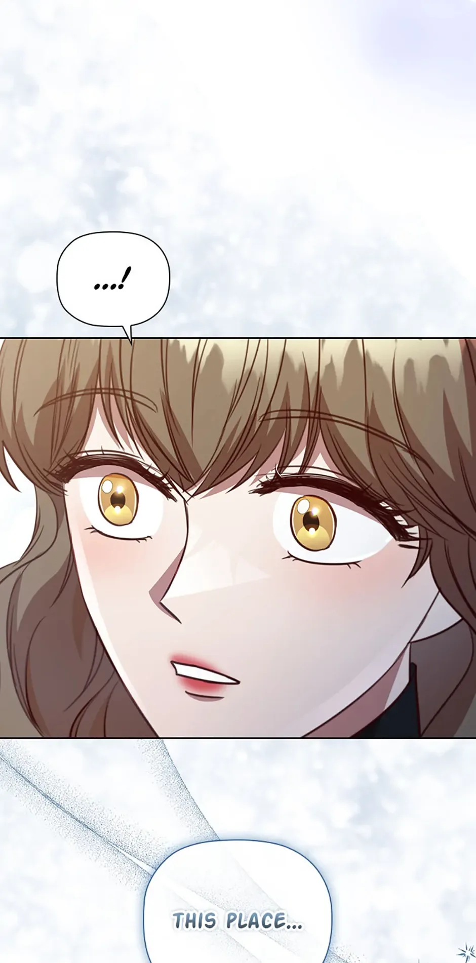 An Extra In The Family Is The First To Be Abandoned Chapter 119 page 69